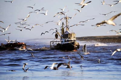 Минтруд установил новые правила охраны труда для рыболовов