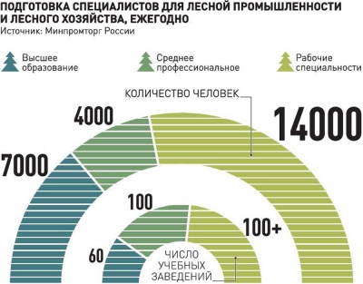 Дефицит кадров в лесной отрасли оценили в 12 тысяч человек