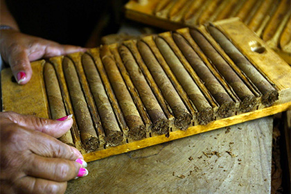 Продажи кубинских сигар выросли до полумиллиарда долларов