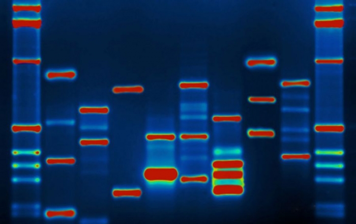 Элитная флешка: станет ли ДНК альтернативным носителем информации?