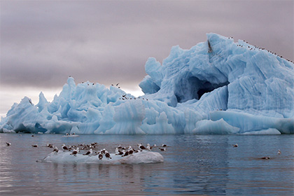 Оценена вероятность затопления Арктики