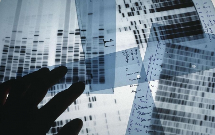 Добровольно-принудительно: какой импульс могут дать госпрограммы рынку ДНК-тестов?
