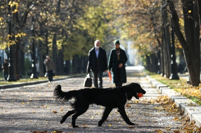 Юрист разъяснил особенности оплаты труда в нерабочие дни